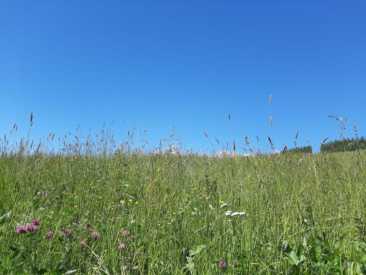 Bio-Bauernhof Hatzbauer Maria Alm am Steinernen Meer Exterior foto