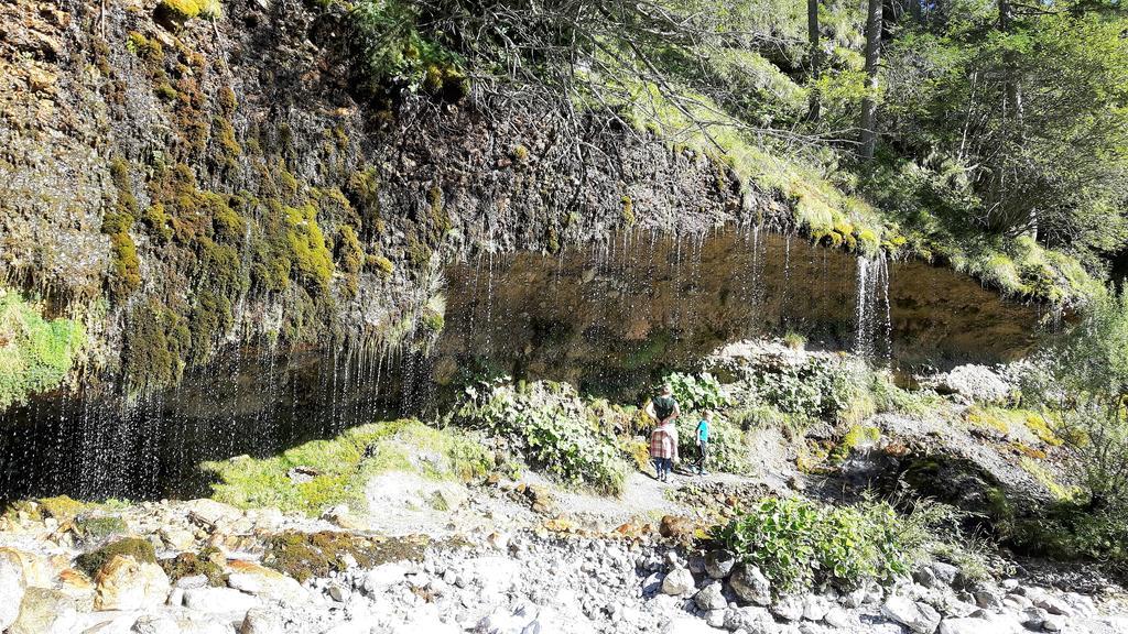 Bio-Bauernhof Hatzbauer Maria Alm am Steinernen Meer Exterior foto