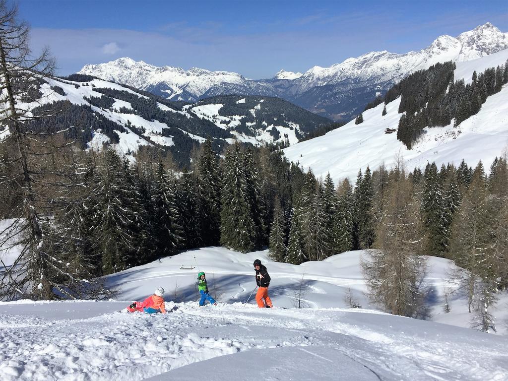Bio-Bauernhof Hatzbauer Maria Alm am Steinernen Meer Exterior foto