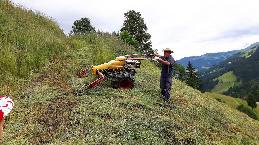 Bio-Bauernhof Hatzbauer Maria Alm am Steinernen Meer Exterior foto